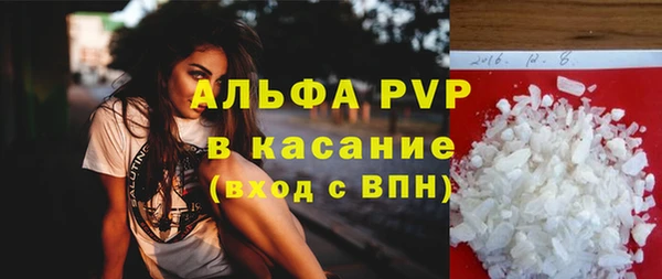 прущие грибы Белокуриха