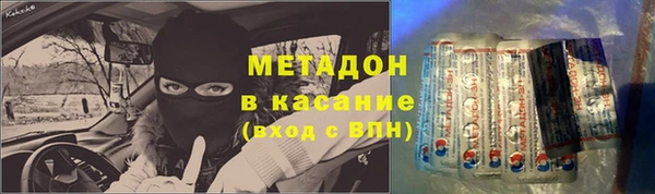 прущие грибы Белокуриха