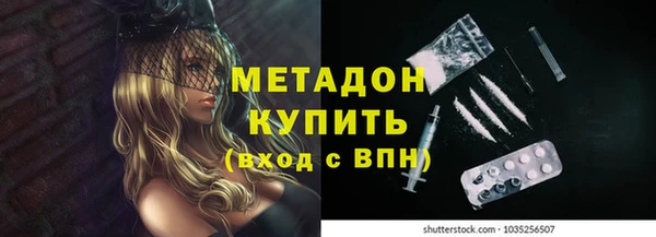 прущие грибы Белокуриха