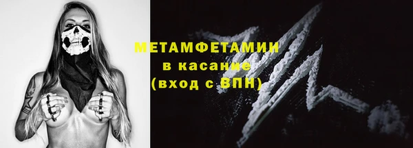 прущие грибы Белокуриха