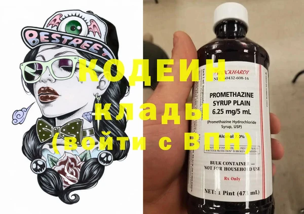 прущие грибы Белокуриха