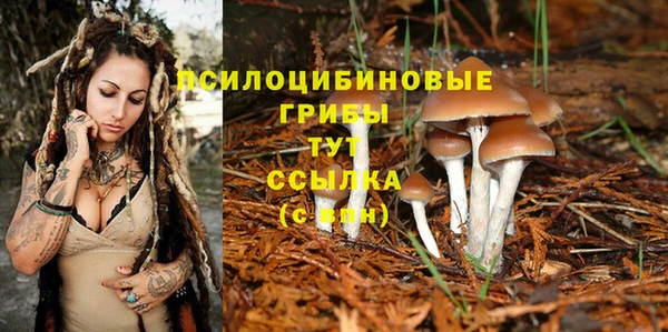 spice Белоозёрский
