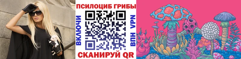 Галлюциногенные грибы Psilocybe  Новоалександровск 