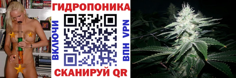 Бошки Шишки OG Kush  наркошоп  Новоалександровск 